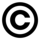  Copyright
